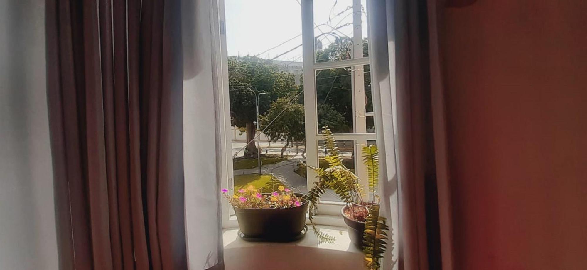 Quinoa Backpackers Hostel Lima Dış mekan fotoğraf